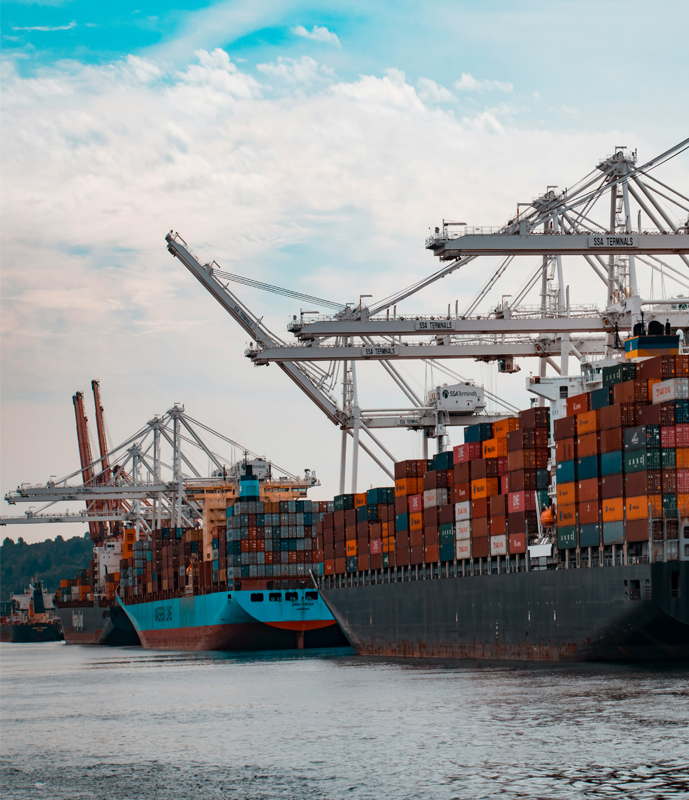 Azhar Multiple export operations and quality focus